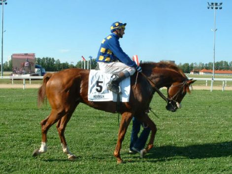 ke9p20030.jpg